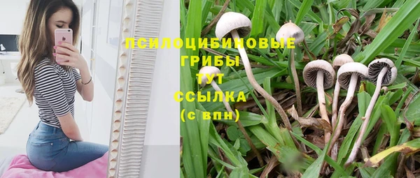 дурь Абаза