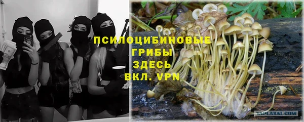 дурь Абаза